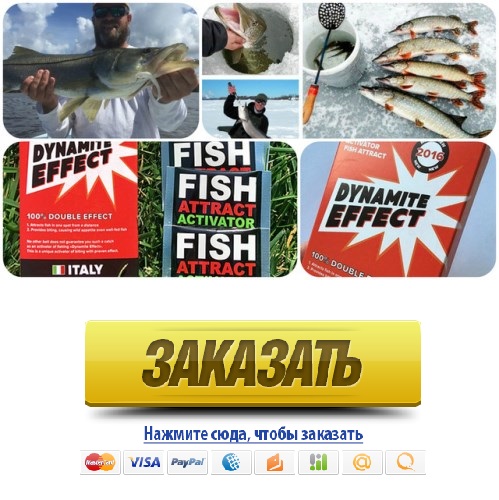 активаторы клева рыбы в украине
